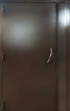 Входная дверь с порошковым окрасом и боковой вставкой