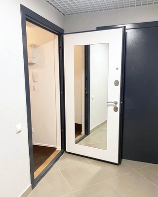 Квартирная дверь, МДФ с зеркалом